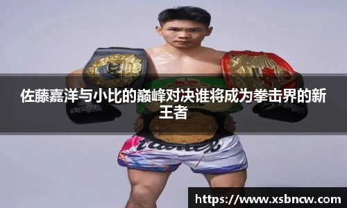 佐藤嘉洋与小比的巅峰对决谁将成为拳击界的新王者